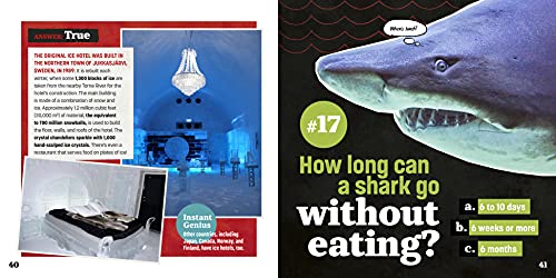 Totally Random Questions Volume 2: 101 Odd and Awesome Q&As - Image 6