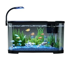 熱帯魚水槽セット　大型　美品　電気系統確認済み 水槽 - Amazon.co.jp