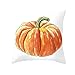 Produktbild Sumeiwilly 1er Set Halloween Pumpkin Kissenbezug Kissenhülle Dekorative Dekokissen Sofakissen Lendenkissen Wurfkissenbezug Sofa Schlafzimmer Auto 45x45 cm