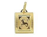 Gelbgold 333 Hobra-Gold STERNZEICHEN GOLD 333 - ANHÄNGER - GOLDANHÄNGER STERNZEICHEN h494-h505 (Steinbock)