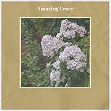  An Old Violin