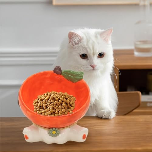 Gamelles de nourriture tendance pour embellir le coin repas - 4