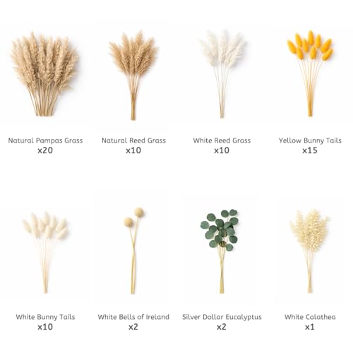 Natural Dried Flowers Bouquet Set 70 Stems miniatura 4