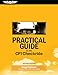 Practical Guide to the CFI Checkride (Practical Exam Guide Series)