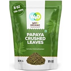 Papaya Leaf Tea 8 Oz, Dried from Fresh Green Leaves, Good to make Tea, 100% Loose Leaves(No Fruit, No Seeds) - Way4Organic (1 Pack(8 Oz))