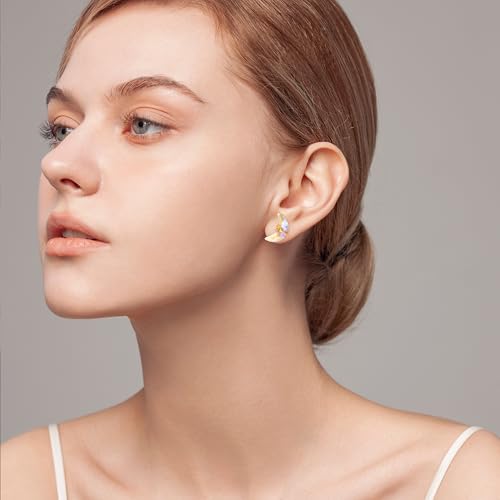 Moonstone Earrings New Beginnings Gifts for Women Graduation Divorce Retirement Farewell Gifts for Coworkers Inspirational Moonstone Jewelry3