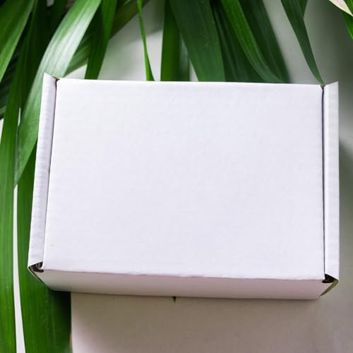 Image of BonKaso 3 Ply White Flap Corrugated Boxes for Packaging | 8 inchx4 inchx2 inch (Pack of 50) | Cardboard Packing Box for Shipping, Moving & Storage | Cartons for Courier & Goods Transportation.
