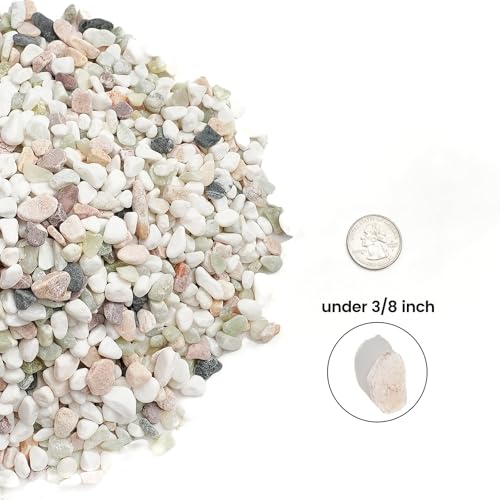 Image of CONSDAN 12 LBS Natural Gravel for Fish Tank, StoneCreek Betta Fish Aquarium Gravel, Vase Filler, River Rocks, Fish Tank Decorations, Perfect for Aquarium Decor, Fish Tank, & Indoor Plant, Mixed Color