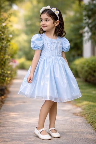Image of Buy & Try Girls Crystal Puff Sleeve Birthday Dress for Baby Girls | Silk Knee-Length Frock with Zipper Closure | Party Outfit for Kids | Perfect Birthday & Special Occasion