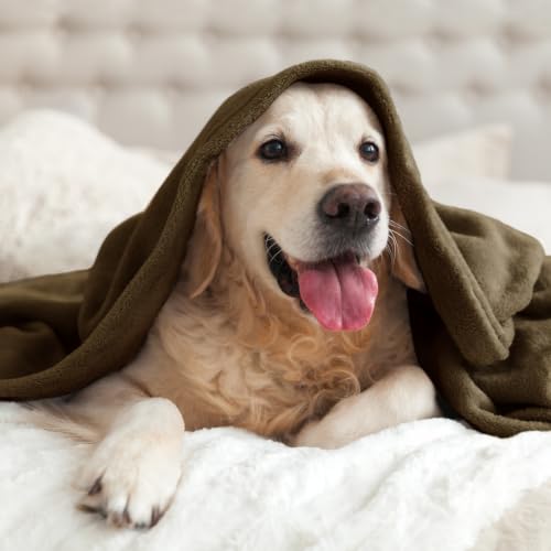 Image of BEDELITE Fleece Blanket Soft Warm Chocolate Brown 60 inchx80 inch Throw
