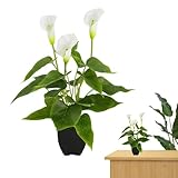 mise en pot arum Facile à nettoyer : contrairement aux plantes vivantes, cette plante artificielle en pot est facile à nettoyer et à entretenir..Essuyez simplement toute poussière ou débris avec un chiffon doux ou vaporisez légèrement de l'eau pour le garder frais et éclatant tout au long de l'année..Il peut résister à la décoloration, à la décoloration et à la détérioration, garantissant vitalité et attractivité même après une utilisation à long terme..Plantes artificielles en pot