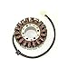 ElectroSport ESG935 Stator Triumph Daytona 955i