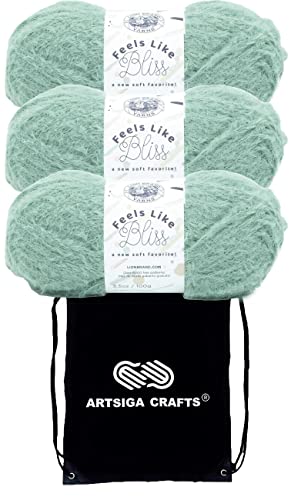 Lion Brand Feels Like Bliss Sage 153-173 (3-Skeins - Same Dye Lot) Chunky Bulky 5 Nylon Yarn for Crocheting and Knitting with Project Bag