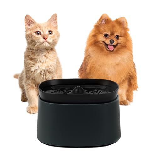 Image of Automatic Pet Water Fountain for Cats and Dogs | Ultra-Quiet | BPA-Free & Easy to Clean | Large Capacity Water Dispenser | Promotes Fresh Hydration | Indoor Fountain for Small Cats (Black)