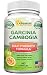 Pure Garcinia Cambogia Extract - 180 Capsule Pills, Natural Garcinia Supplement, Ultra High Strength HCA, Best Max XT Premium Detox Tablet for Men & Women