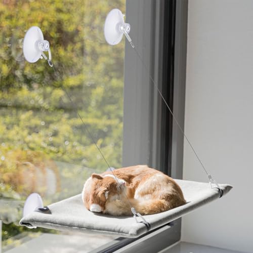 Vin Beauty 593732_1_IBZFYRDV 4 Pcs Cat Window Perch Suction Cup Large Replacement Clear Pvc Sucker Pads Powerful Suction Cups thumb #4