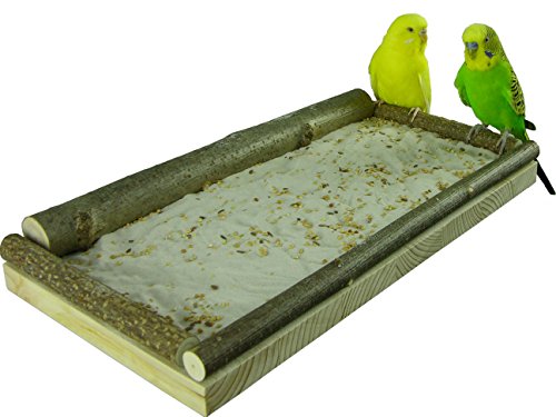 VogelKing Sand Sitzbrett für Vögel Groß