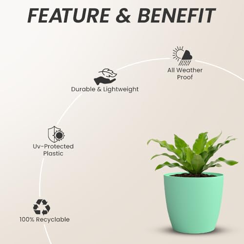Image of YUCCABE ITALIA SHERA Stella 5 Inch Plastic Plant Pot for Home Decor Indoor Plant Pots for Living Room Plastic Flower Pot for Garden (Seagreen, 5 INCH - 6 Pcs)