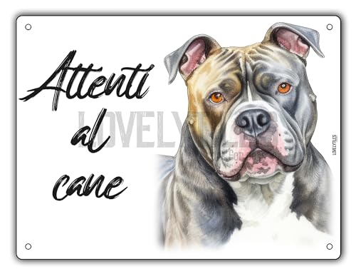 CARTELLO ATTENTI AL CANE IN METALLO, VARIE RAZZE, stampa UV, resistente all'esterno e dalla intemperie, misure 15 x 20 o 20 x 30 (AMERICAN BULLY, 15 x 20)