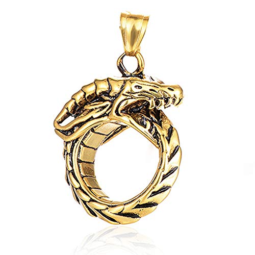YABEME Collier Pendentif Cercle de Dragon de Punk Ouroboros Vintage en Acier Inoxydable pour Homme, Cycle Éternel Serpent Serpent Porte-Clés Hypoallergénique Bijoux Cadeau,d'or Cover