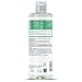 Faith In Nature Natürliches Rosmarin-Shampoo, Ausgleichend, Vegan und Frei von Tierversuchen, Ohne SLS Oder Parabene, Für Normales Bis Fettiges Haar, 400ml