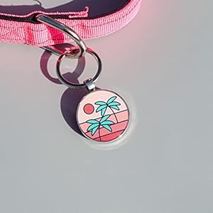   QR-Code-Dog-Tags-Personalized-Pet-ID-Tags-Custom-Dog-ID-Tags-Dog-Name-Tags-Online-Pet-Profile-Display-Pet-Information