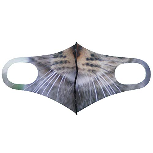 a }XN Y ؒ 傤ӂ 􂦂}XN Č LWg L E^ R  z@\ 3 3003912-LWg-FREE