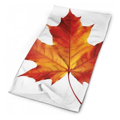Mascarilla facial Fall Leaf para clima frío con cuello tubular, bufanda cortaviento para hombre y mujer, pasamontañas elástico para motocicleta, ciclismo, esquí y paseo