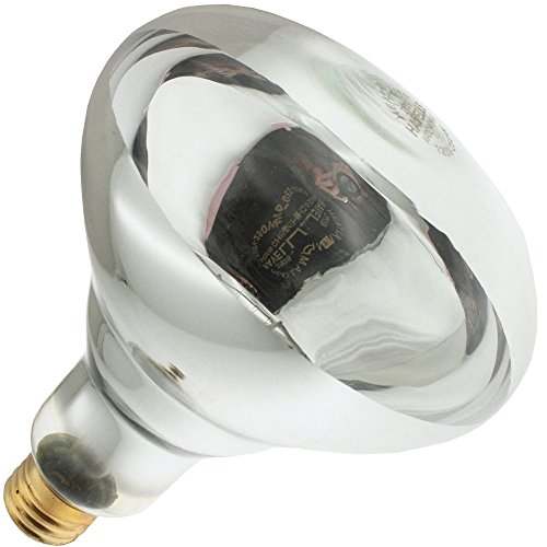 Industrial Performance 250R40/1 120V 250R40/1, 250 Watt, 120 Volt, R40 Glass Size, 5000 Hour Life, Medium Screw  thumb #1