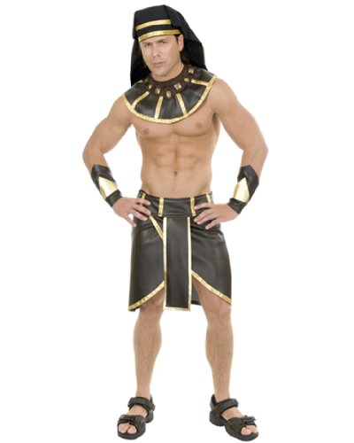 Egyptian Pharaoh Adult Costume - Small