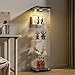 FANYUSHOW Glass Display Cabinet with LED Light, Quick-Install Style 4-Shelf Curio Cabinet 5mm Tempered Glass Bookshelf for Living Room, Bedroom, 65