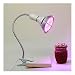 Produktbild LED-Anlage Lampe, Pflanze wachsen Licht-Lampen-Fill, Full Spectrum Clip Light, Winter Regenzeit Nacht Sukkulente Blume Gemüse Pflanzgut Obst (Size : 5w)
