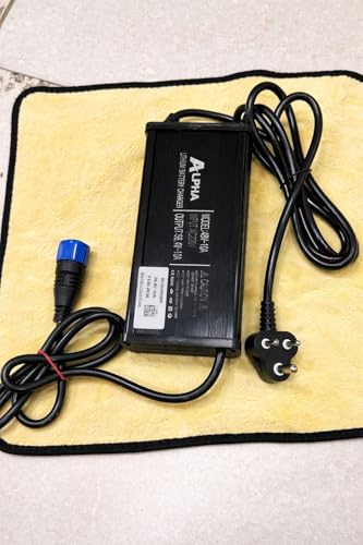 Image of TVS iQube Charger Fast Charging 58.4V 10A | Chagori 2+4 Pin Connector | 06+10 Months Warranty | Japanese in-Built Technology