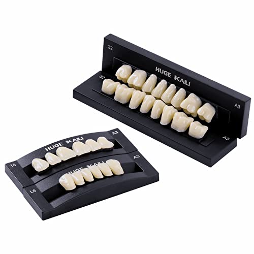 Image of Dental Acrylic Resin Denture False Teeth A3, T6 Synthetic Polymer Resin Fake Teeth for Replacement, Halloween, DIY (28 Pcs /Set)