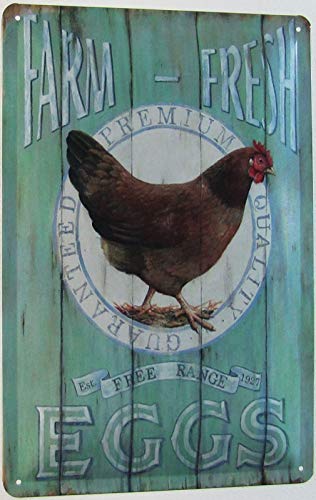 Blechschild 20x30cm gewölbt Farm Fresh Eggs Free Range Eier Hühner Deko Geschenk Schild – Bild 3
