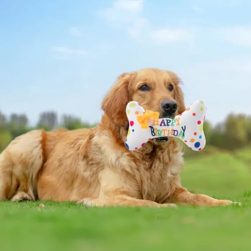 Hundespielzeug Geburtstag Hund, Dauerhaft Hunde Geburtstags Plüschtier, Dog Birthday Toys Weich und bequem, Hund Geburtstagstorte Spielzeug, Haustier Knorpelspielzeug Geburtstagsgeschenke für Hunde