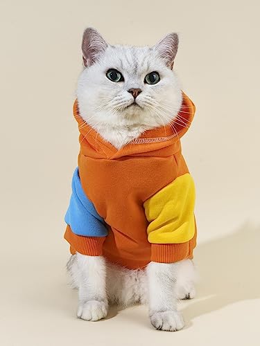 QWINEE Moletom com capuz para cães de dinossauro jaqueta quente de Natal Halloween fantasia de cacho