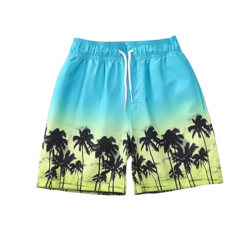Boys Summer 𝐇awaiian Beach Shorts Cute Dinosaur Print Elastic Waist Jogger Short Pants Active Athletic Shorts