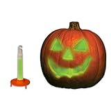 Windy City Novelties Green Glow Pumpkin Light with Holder