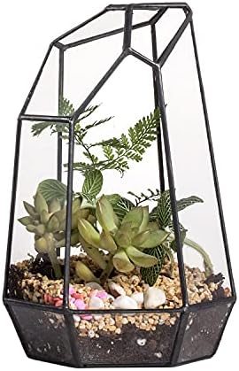NCYP Small Glass Geometric Succulent Terrarium (4.9x3.9x7.4 Inches) Handmade Irregular Glass Planter for Succulent Fern Moss, Indoor Decoration Flower Pot, Wedding Centerpiece (No Plants, No Door)