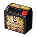 Rechargeable YTZ7S High Performance Power Sports Battery - Replaces Yamaha 250 YFM25R Raptor, R 2008-2012