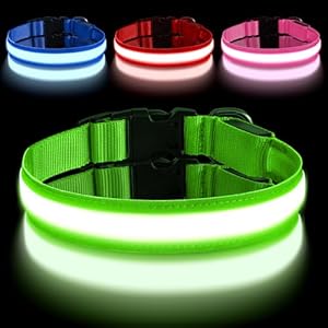 AUAUY Collar Luminoso Perro Recargable, Collar LED Perro con Type-C y con 3 Modos Brillo, Collar Luminoso para Perros Impermeable, Collar Perro Luz para Perros PequeñOs/Medianos/Grandes (Verde-M)