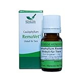 REMEDIA Homöopathie GmbH