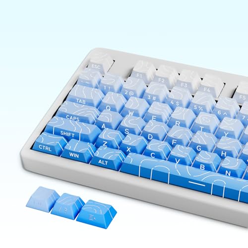 WiseChoice PBT �L�[�L���b�v ����₩�ȃo�C�u �I�[�V���� �z���C�g�u���[ �O���f�B�G���g�L�[�L���b�v ���J�j�J���L�[�{�[�h�p ���Ղ⑹���Ȃ� (�l�ԍH�w ����~�� �n�` MX�X�e�����C�A�E�g�Ή� 100% �_�u���V���b�g)