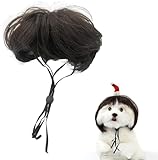 Deguisement pour Chat,Perruque de Cosplay pour Chien et Chat,Perruque pour Animal de Compagnie,Perruque pour Animaux de Compagnie avec Frange,Perruque Explosive,pour Halloween,Noël,Fêtes,Festivals