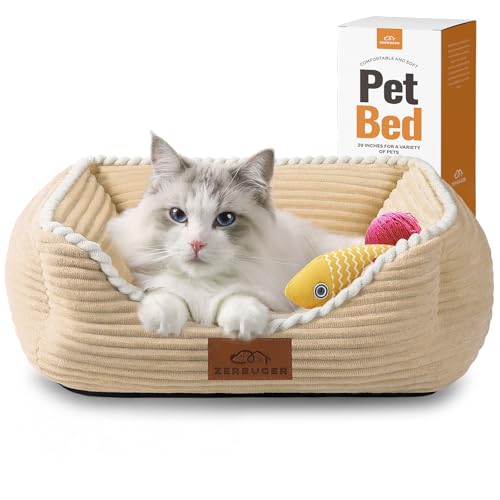 Zerbuger ` L pxbh ^ M ^ ybgp  O @ X[sO\t@ ~  \tg q xbh v `O  ybg  (X[AR[q[)