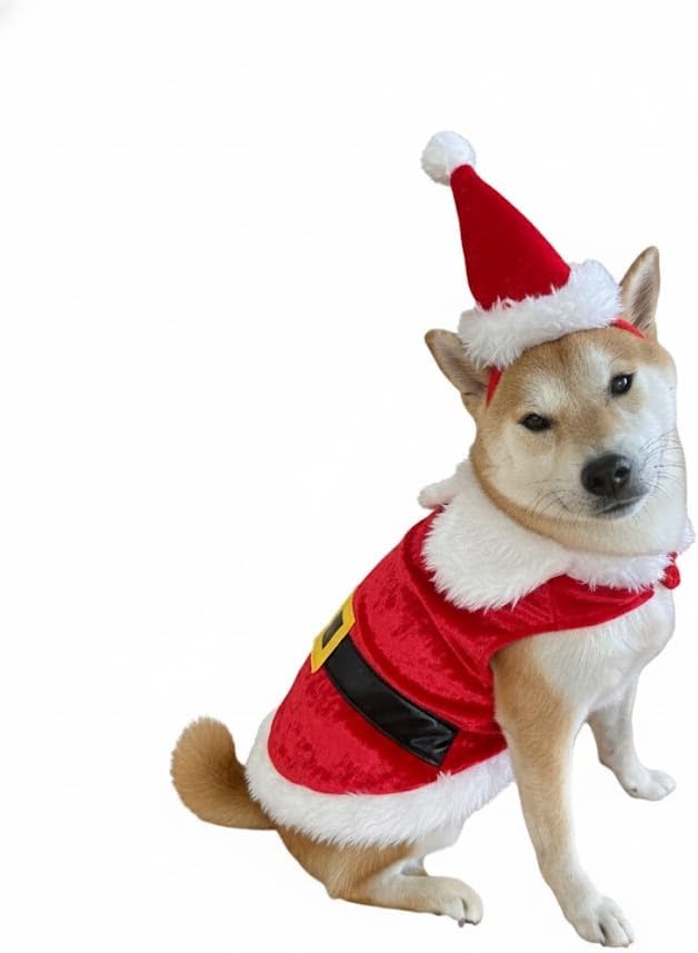 Capa y Gorro de Santa Claus para Perros ComfyCamper Talla L