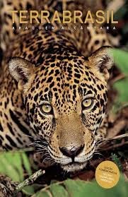 Hardcover Terra Brasil Book