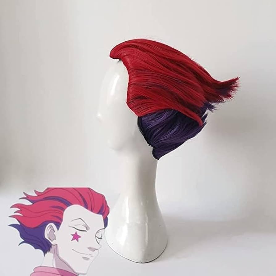 ⭐︎ヒソカ꧞ ウィッグ ハンター×ハンター ヒソカ コスプレ ウィッグ かつら WIG 耐熱