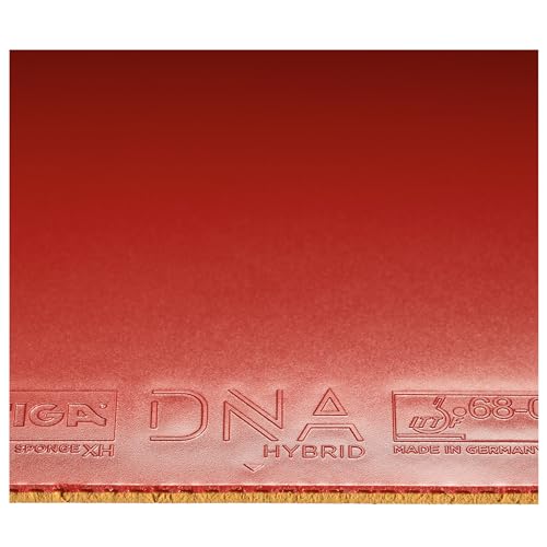 Revêtement Stiga DNA Hybrid XH la solution pour un contrôle absolu